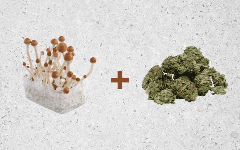 mezclar setas y marihuana