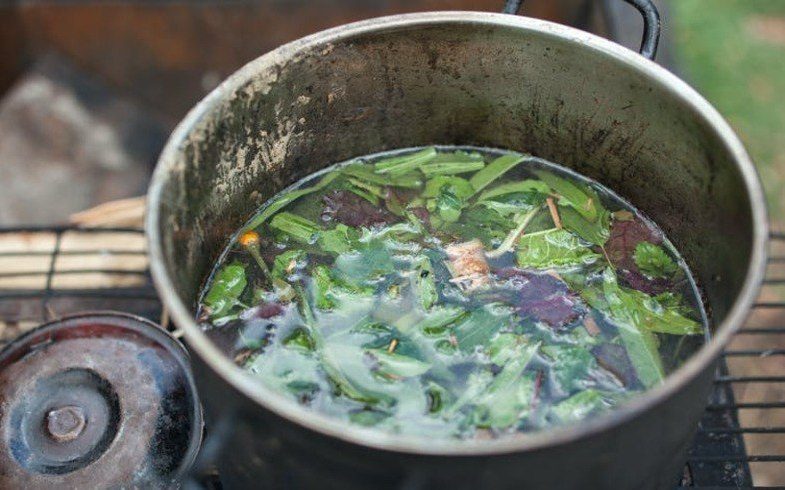 beneficios de la ayahuasca