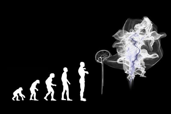 teoria the stoned ape