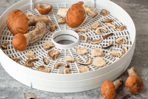 secado de hongos alucinogenos