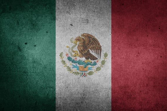 historia cactus peyote 