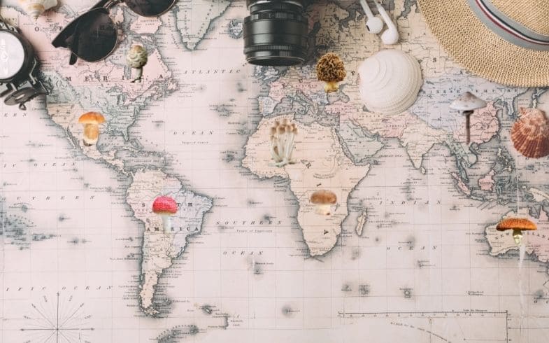 lugares para recoger setas