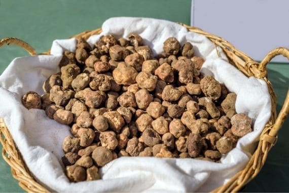 Trufas mágicas Trufas mágicas