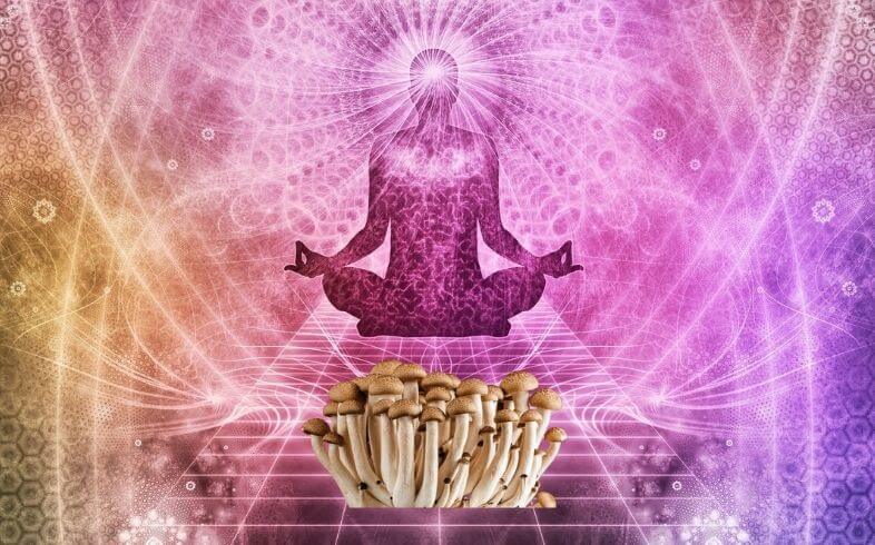 7 consejos para tomar setas alucinógenas
