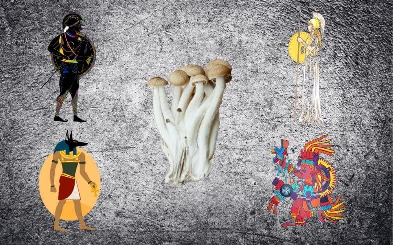 el pasado religioso de las setas