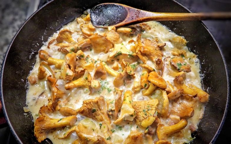 recetas deliciosas con setas y trufas mágicas