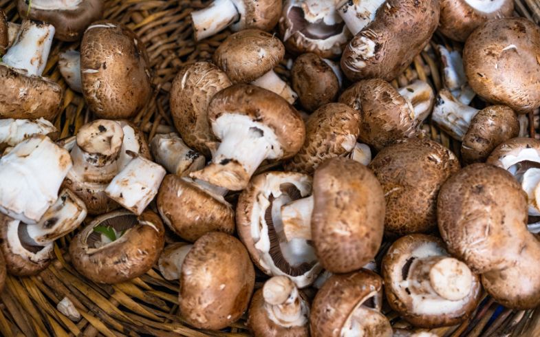 Champiñón portobello: qué es