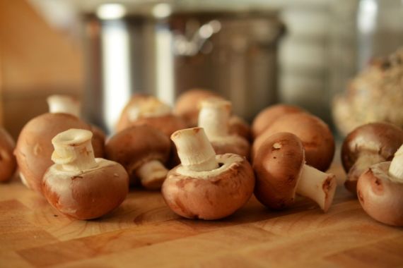 Propiedades del champiñón portobello