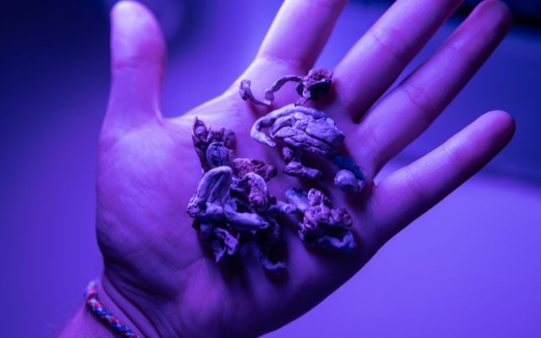 Ceremonia con hongos alucinógenos