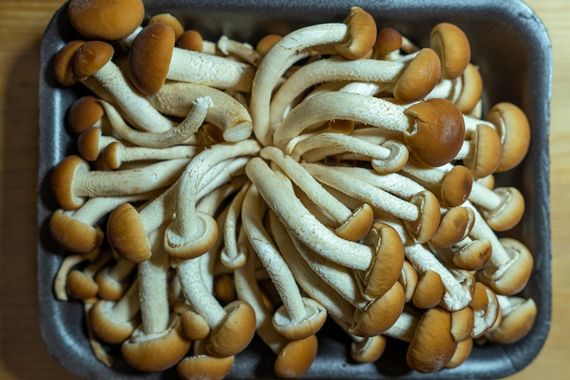 Efectos setas alucinógenas