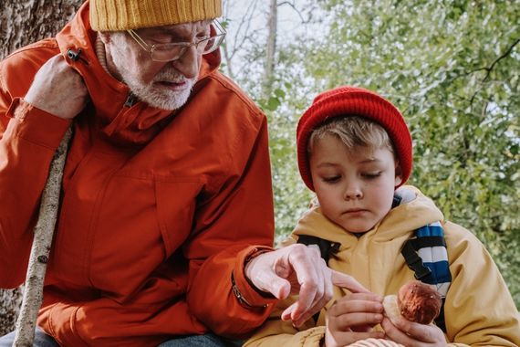 Setas: cortar o arrancar