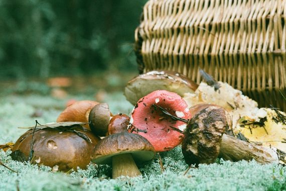 Setas arrancar o cortar