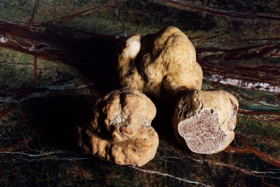 Dosis trufas mágicas
