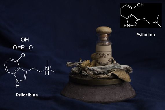 Psilocina y psilocibina