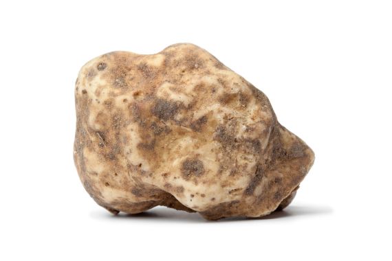 Trufa blanca: características