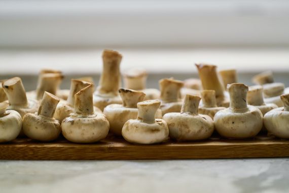 Setas gastronomía historia