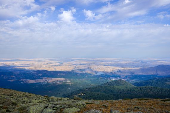 Dónde coger setas Madrid Guadarrama