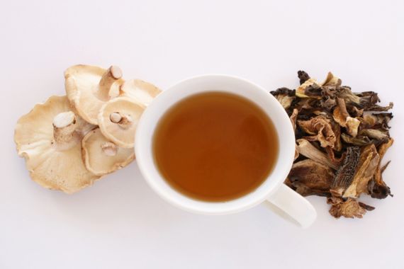 Cómo preparar té de psilocibina