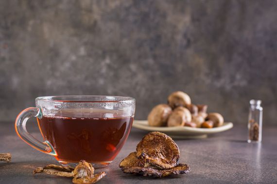 Té de psilocibina