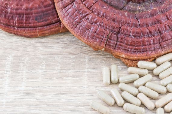 Reishi cápsulas