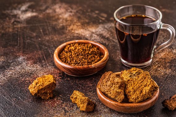 Hongo Chaga