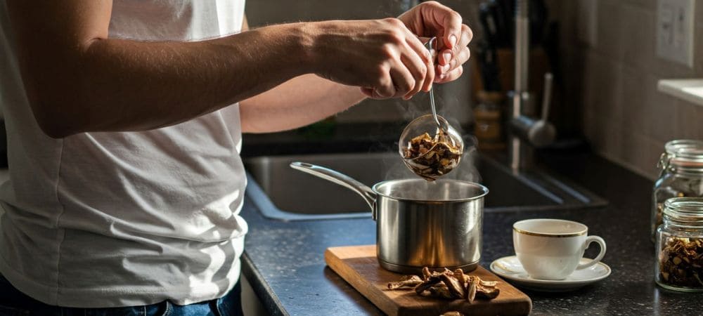 Cuánto cuestan los hongos alucinógenos