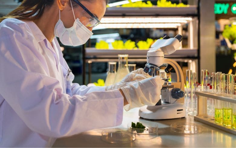 Brecha de género en el mundo psicodélico