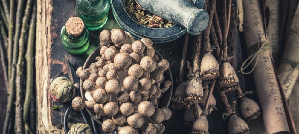 Psicodélicos naturales