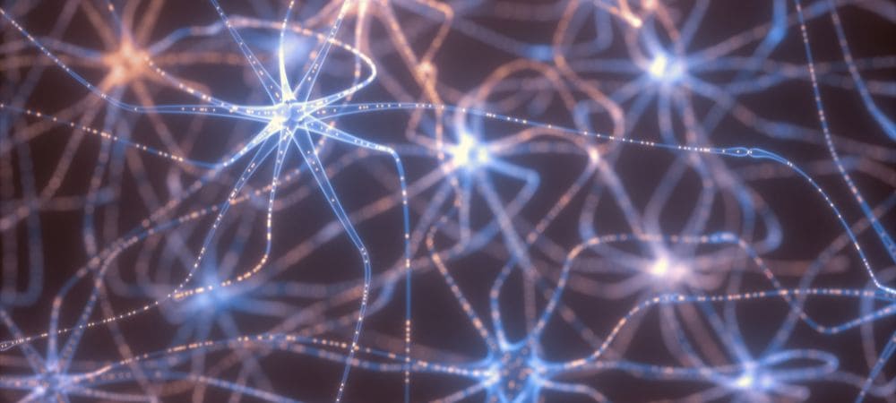 Cómo reacciona el cerebro a los psicodélicos