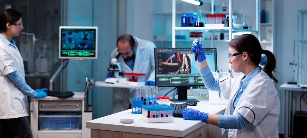 estudios sobre la psilocibina