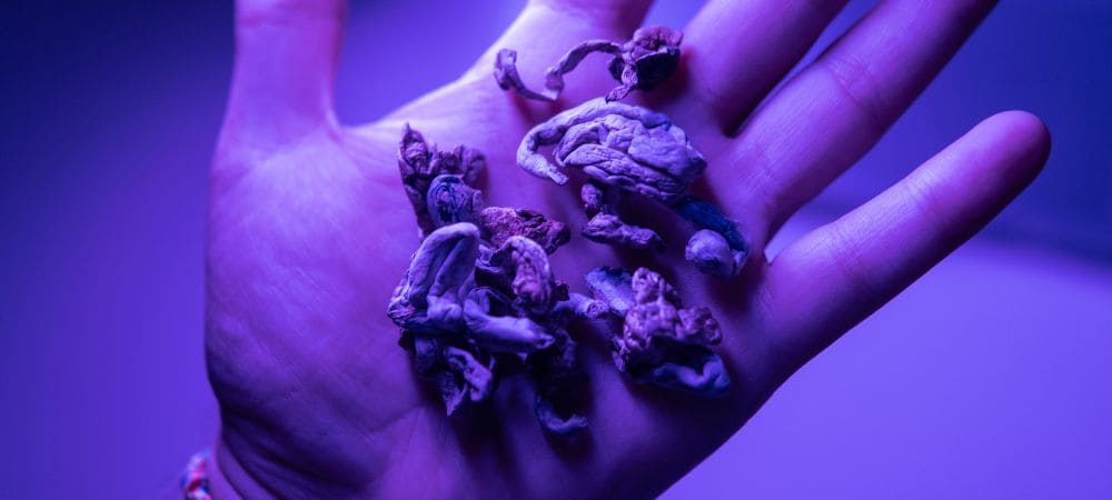 terapia con psilocibina