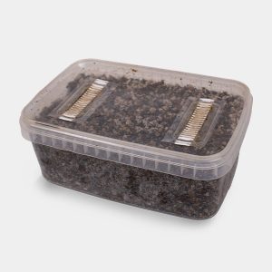 Sustrato de Cultivo para Setas