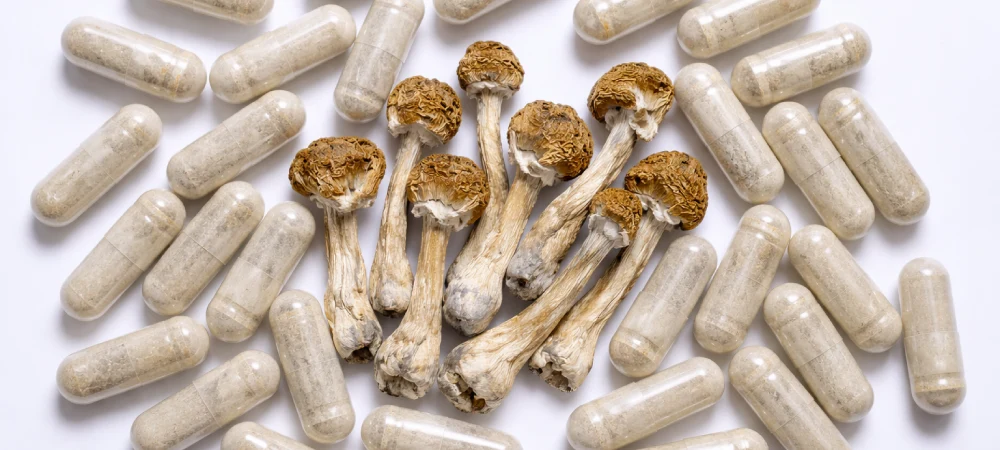 microdosificacion con trufas magicas capsulas con psilocibina y hongos secos